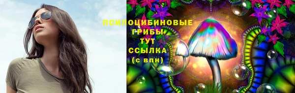 синтетический гашиш Алексин