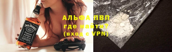 ECSTASY Алзамай