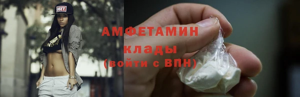 ECSTASY Алзамай