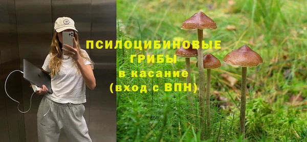 синтетический гашиш Алексин