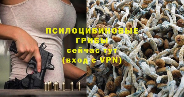 метадон Сатка