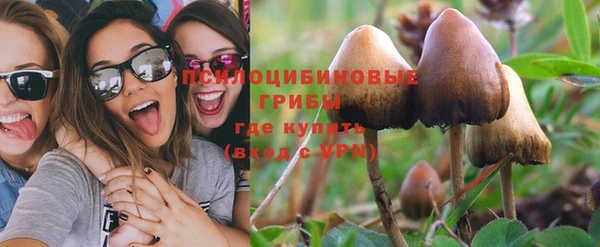 дживик Алексеевка